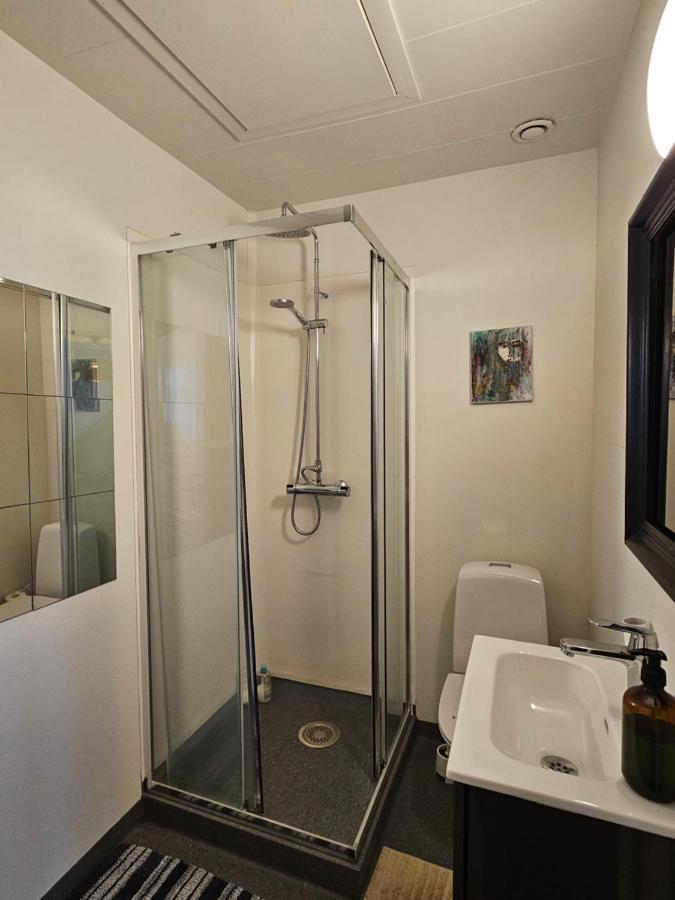 Downtown Guesthouse 레이캬비크 외부 사진